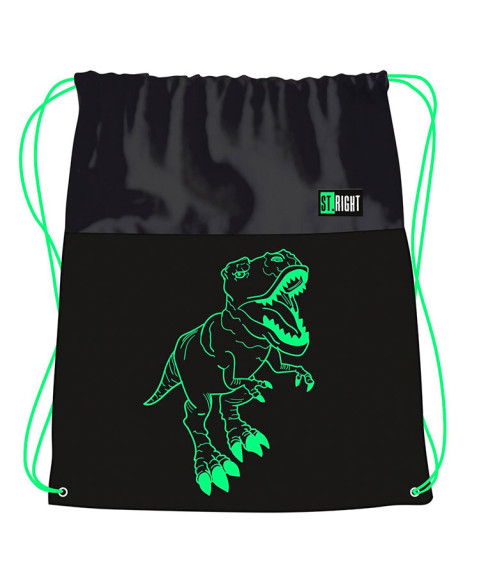 Sac Sport Colectia St Right - Reflective T-Rex SO01 43x34cm